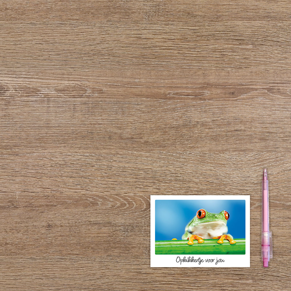 Opkikkertje voor jou