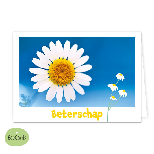 Beterschap - Afmeting: {"value":13.4,"unit":"CENTIMETERS"} x {"value":9.7,"unit":"CENTIMETERS"} - Formaat: Klein - Vorm: Liggend - Beterschapskaart - Op deze wenskaart staat een witte bloem op een blauwe achtergrond met daaronder de tekst: "Beterschap". - Snelwenskaart