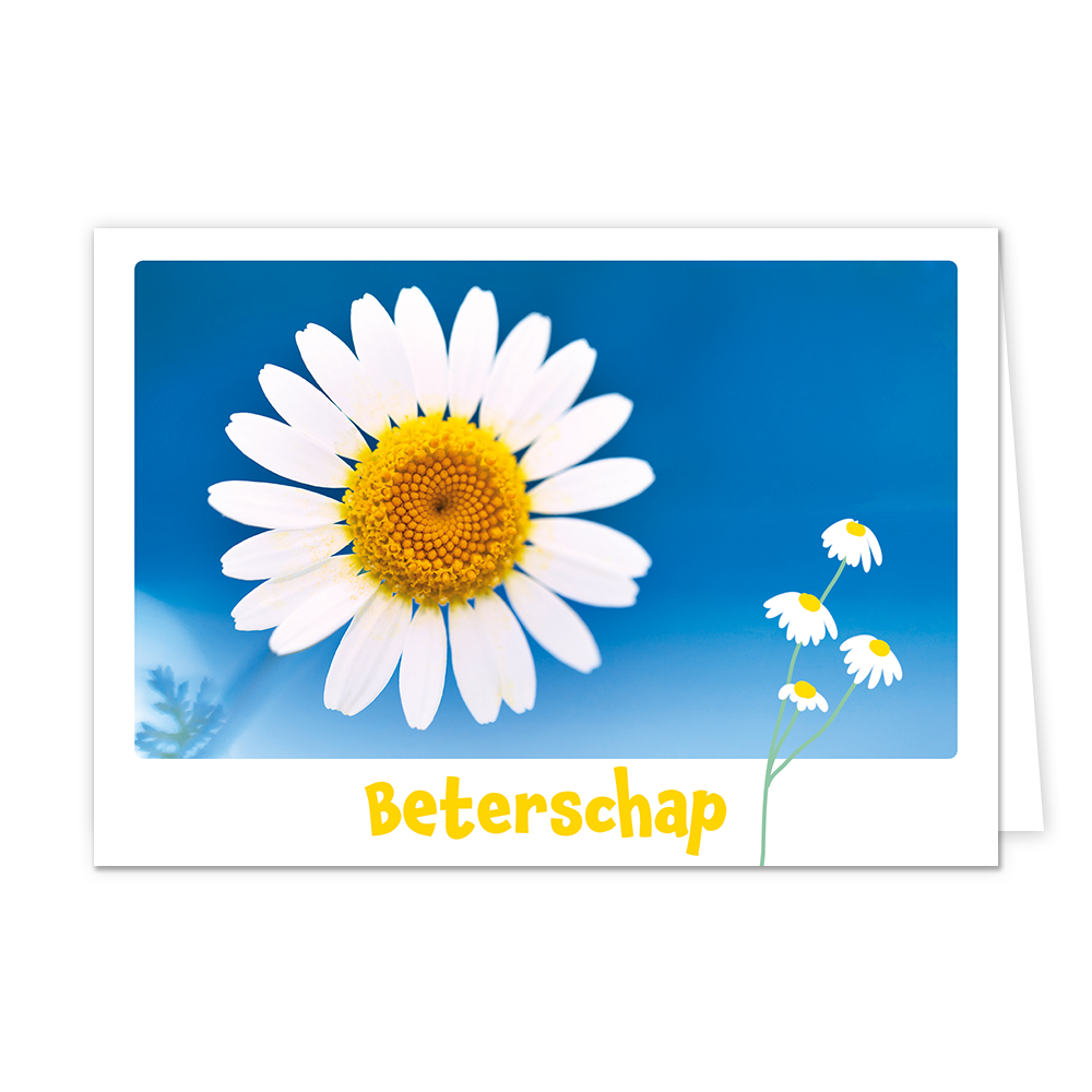 Beterschap - Formaat: Klein - Vorm: Liggend - Beterschapskaart - Op deze wenskaart staat een witte bloem op een blauwe achtergrond met daaronder de tekst: "Beterschap". - Snelwenskaart