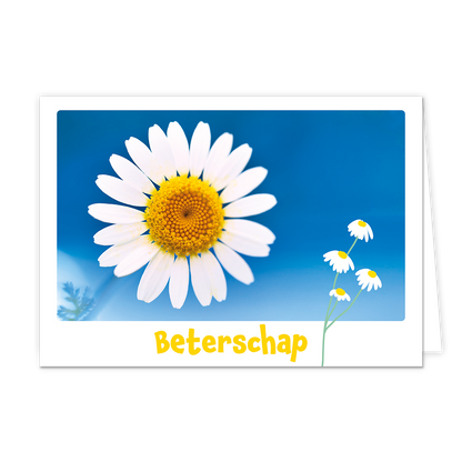 Beterschap - Formaat: Klein - Vorm: Liggend - Beterschapskaart - Op deze wenskaart staat een witte bloem op een blauwe achtergrond met daaronder de tekst: "Beterschap". - Snelwenskaart