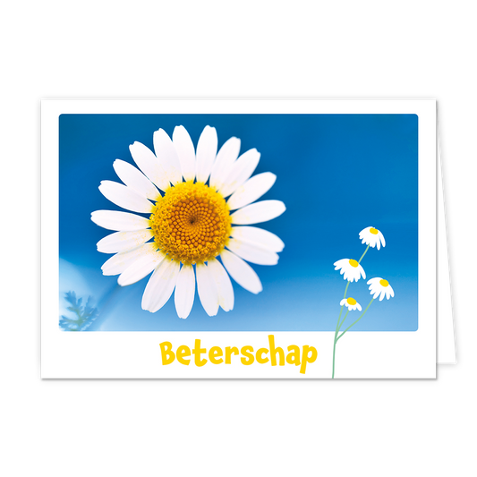 Beterschap - Formaat: Klein - Vorm: Liggend - Beterschapskaart - Op deze wenskaart staat een witte bloem op een blauwe achtergrond met daaronder de tekst: "Beterschap". - Snelwenskaart