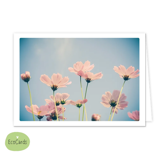 Bloemen - Afmeting: {"value":13.4,"unit":"CENTIMETERS"} x {"value":9.7,"unit":"CENTIMETERS"} - Formaat: Klein - Vorm: Liggend - Blanco kaart - Op deze wenskaart staat een afbeelding van lichtroze bloemen die van onderaf zijn vastgelegd tegen een heldere, lichtblauwe lucht. De bloemen hebben dunne, groene stelen en zachte bloemblaadjes die door het zonlicht bijna transparant lijken. De compositie straalt een serene, dromerige sfeer uit door het gebruik van zachte pastelkleuren en een lichte vintage filter. -