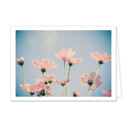 Bloemen - Formaat: Klein - Vorm: Liggend - Blanco kaart - Op deze wenskaart staat een afbeelding van lichtroze bloemen die van onderaf zijn vastgelegd tegen een heldere, lichtblauwe lucht. De bloemen hebben dunne, groene stelen en zachte bloemblaadjes die door het zonlicht bijna transparant lijken. De compositie straalt een serene, dromerige sfeer uit door het gebruik van zachte pastelkleuren en een lichte vintage filter. - Snelwenskaart