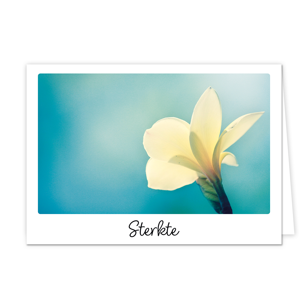 Sterkte - Formaat: Klein - Vorm: Liggend - Sterkte kaart - Op deze wenskaart staat een witte bloem op een blauwe achtergrond met daaronder de tekst: "Sterkte". - Snelwenskaart