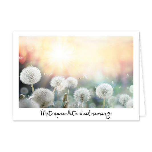 Op deze wenskaart staat een afbeelding van pluizige paardenbloemen in een veld, verlicht door een felle, warme zon die door de achtergrond schijnt. Enkele pluisjes zweven los door de lucht, wat zorgt voor een dromerig en vredig effect. De kleuren zijn zacht met veel wit, geel en lichte pasteltinten. Onder de afbeelding staat de tekst "Met oprechte deelneming" in een elegant, zwart handgeschreven lettertype.