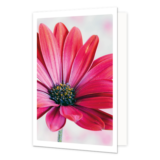 Roze bloem - Formaat: Klein - Vorm: Staand - Blanco kaart - Op deze wenskaart staat een donkerroze bloem. - Snelwenskaart