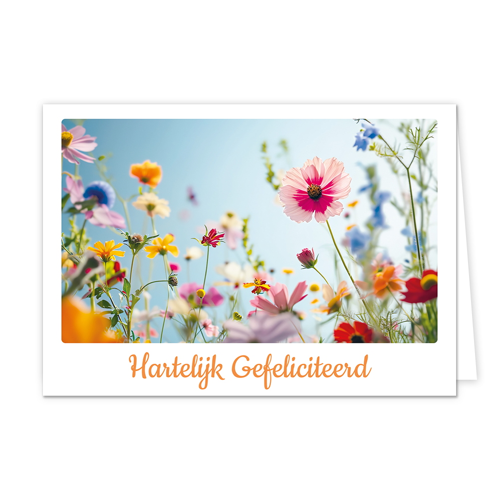 Hartelijk gefeliciteerd - Formaat: Klein - Vorm: Liggend - Felicitatiekaart - Op deze wenskaart staat een bloemenveld met de kleuren roze, blauw, geel, oranje, paars, rood en groen. Onder de illustratie staat de tekst: "Hartelijk gefeliciteerd". - Snelwenskaart