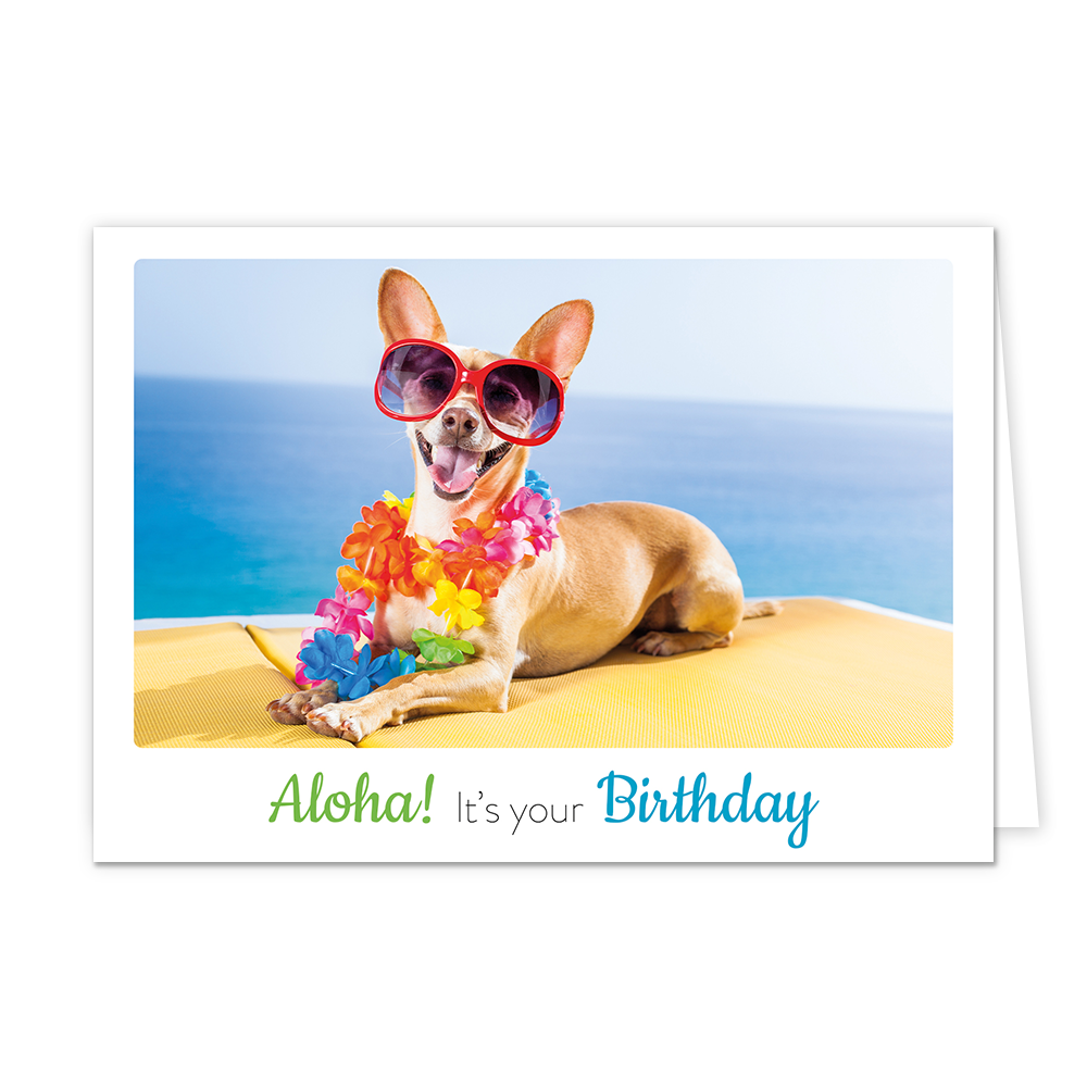 Aloha it's your birthday - Formaat: Klein - Vorm: Liggend - Verjaardagskaart - Op deze wenskaart staat een hond met een zonnenbril en bloemenslinger, die bij de zee ligt te zonnen. Onder de illustratie staat de tekst: "Aloha! It's your birthday". - Snelwenskaart