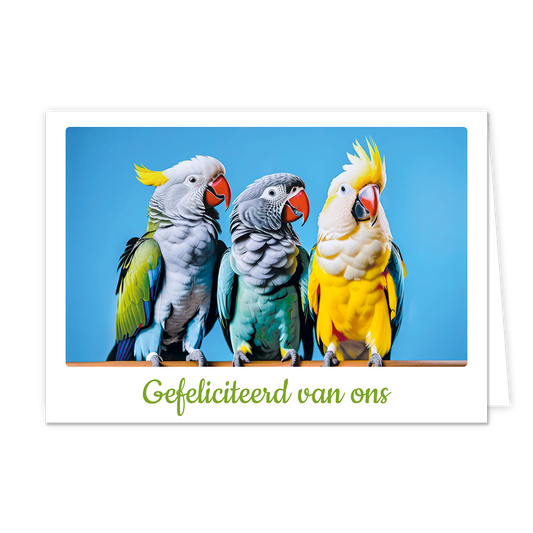 Gefeliciteerd van ons - Formaat: Klein - Vorm: Liggend - Felicitatiekaart - Op deze wenskaart staan drie vogels met daaronder de tekst: "Gefeliciteerd van ons". - Snelwenskaart