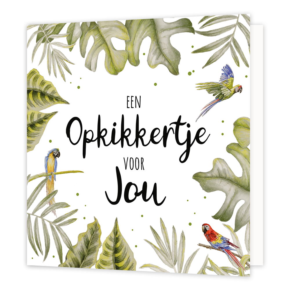 Een opkikkertje voor jou - Formaat: Normaal - Vorm: Vierkant - Opkikker kaart - Op deze wenskaart staan drie papegaaien met groene bladeren. In het midden staat de tekst: "Een opkkikertje voor jou". - Snelwenskaart