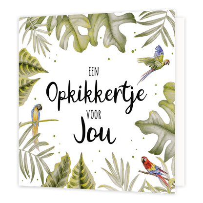 Een opkikkertje voor jou - Formaat: Normaal - Vorm: Vierkant - Opkikker kaart - Op deze wenskaart staan drie papegaaien met groene bladeren. In het midden staat de tekst: "Een opkkikertje voor jou". - Snelwenskaart