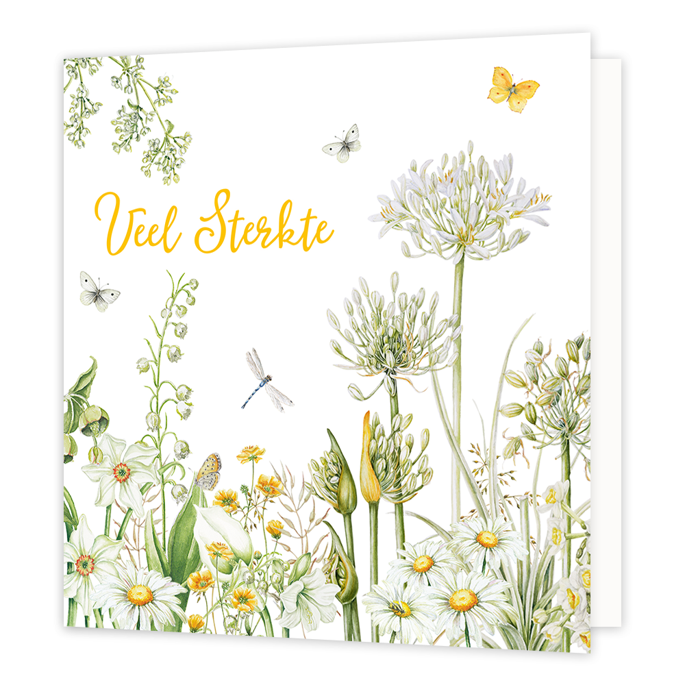 Veel sterkte - Formaat: Normaal - Vorm: Vierkant - Sterkte kaart - Op deze wenskaart staat een bloemenveld met de kleuren geel, wit en groen. In het midden staat de tekst: "Veel sterkte". - Snelwenskaart