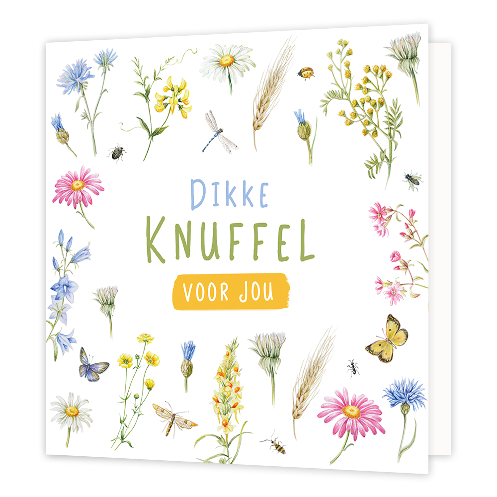 Dikke knuffel voor jou - Formaat: Normaal - Vorm: Vierkant - Vriendschapskaart - Op deze wenskaart staan bloemen in de kleuren roze, blauw, geel, roze en groen. In het midden staat de tekst: "Dikke knuffel voor jou". - Snelwenskaart