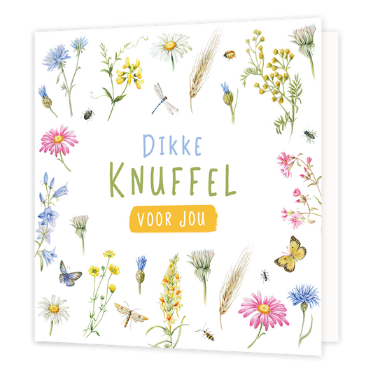 Dikke knuffel voor jou - Formaat: Normaal - Vorm: Vierkant - Vriendschapskaart - Op deze wenskaart staan bloemen in de kleuren roze, blauw, geel, roze en groen. In het midden staat de tekst: "Dikke knuffel voor jou". - Snelwenskaart