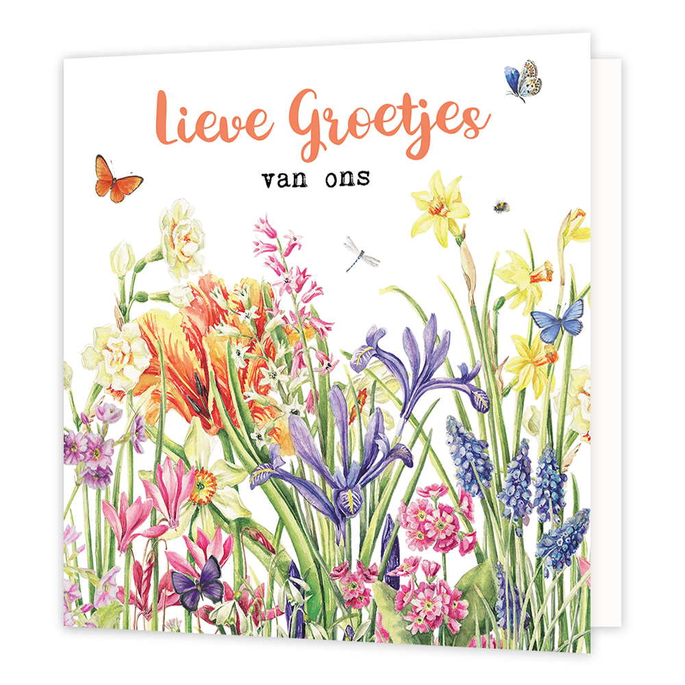 Lieve groetjes van ons - Formaat: Normaal - Vorm: Vierkant - Denken aan kaart - Op deze wenskaart staat een bloemenveld met de kleuren oranje, geel, paars, roze en groen. Daarboven staat de tekst: "Lieve groetjes van ons". - Snelwenskaart