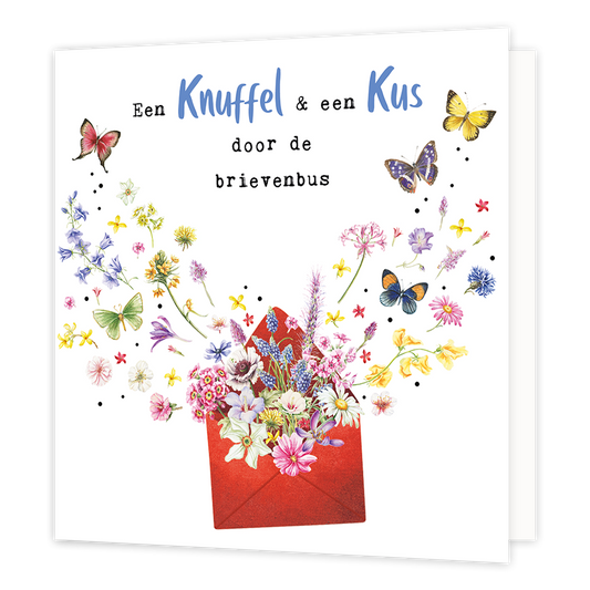 Een knuffel & een kus door de brievenbus - Formaat: Normaal - Vorm: Vierkant - Vriendschapskaart - Op deze wenskaart staan bloemen en vlinders die uit een rode envelop komen. Daarboven staat de tekst: "Een knuffel & een kus door de brievenbus". - Snelwenskaart