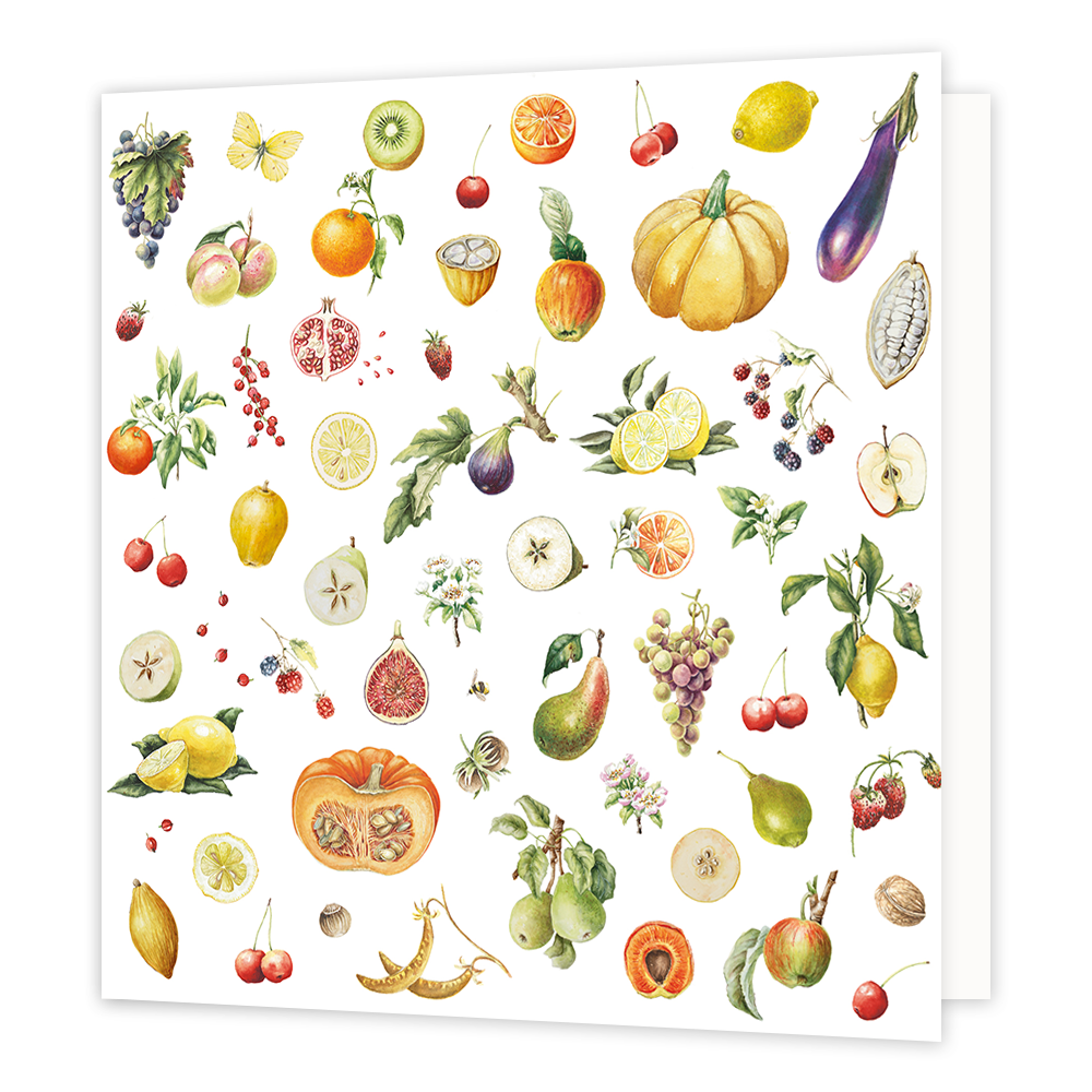 Fruit - Formaat: Normaal - Vorm: Vierkant - Blanco kaart - Op deze wenskaart staan diverse soorten fruit waaronder pompoenen, citroenen, aarbeien, kersen, kiwi's en peren. - Snelwenskaart