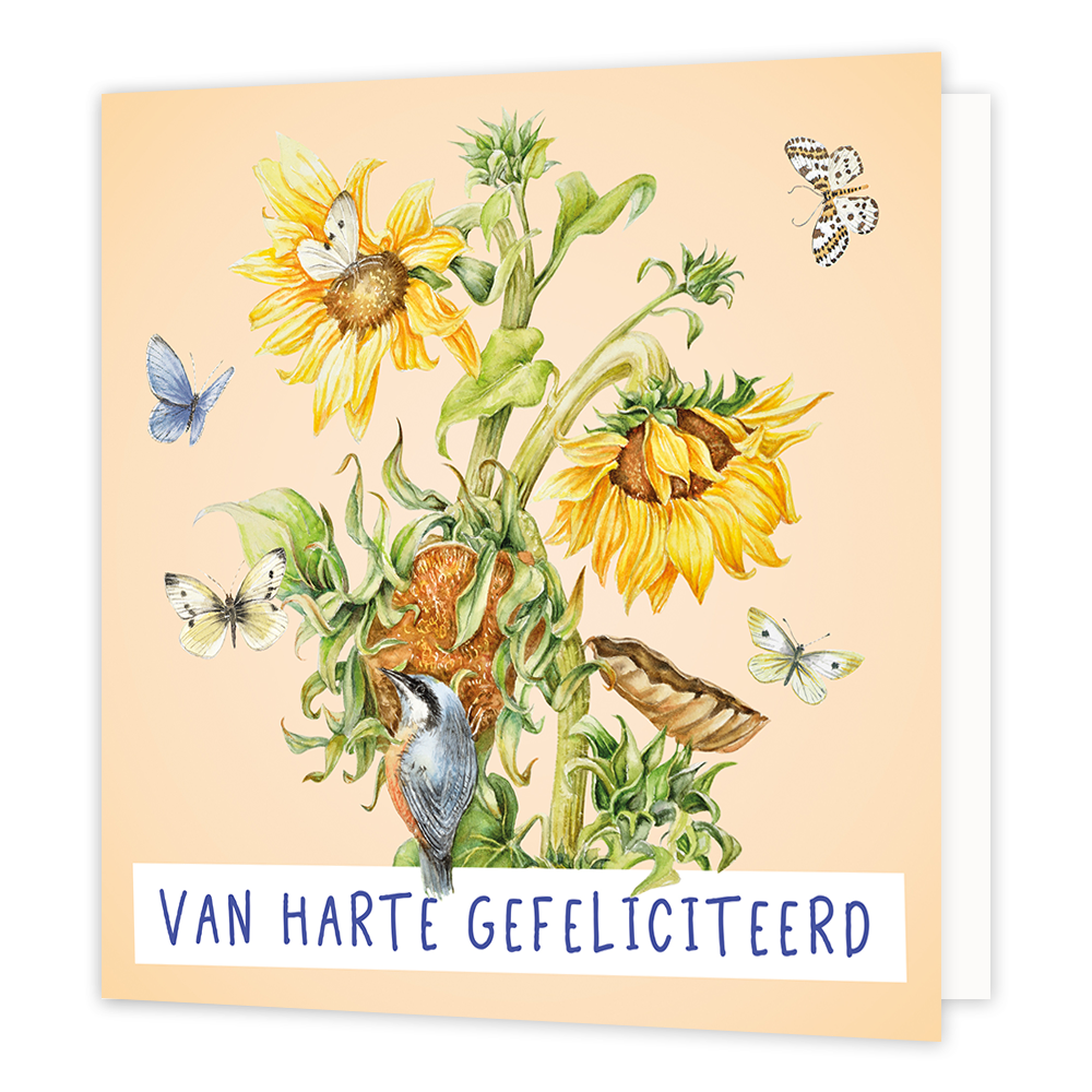 Van harte gefeliciteerd - Formaat: Standaard - Vorm: Vierkant - Felicitatiekaart - Op deze wenskaart staan zonnebloemen omringt door vogels en vlinders. Onderaan staat de tekst: "Van harte gefeliciteerd". - Snelwenskaart