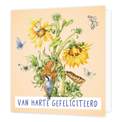 Van harte gefeliciteerd - Formaat: Standaard - Vorm: Vierkant - Felicitatiekaart - Op deze wenskaart staan zonnebloemen omringt door vogels en vlinders. Onderaan staat de tekst: "Van harte gefeliciteerd". - Snelwenskaart