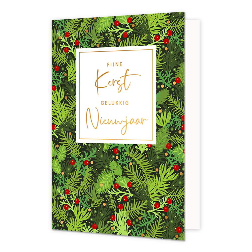 Fijne kerst gelukkig nieuwjaar