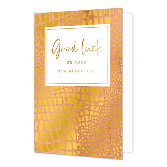 Good Luck on your new adventure