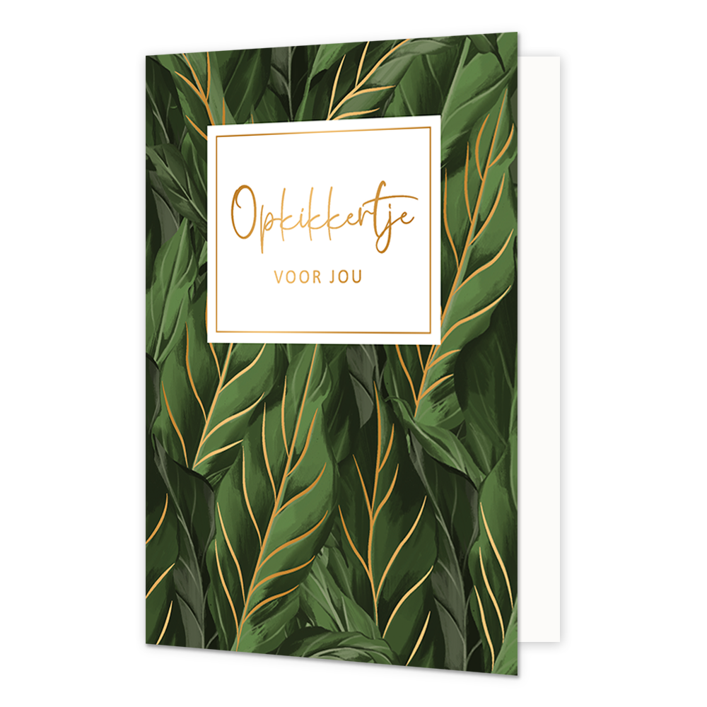 Opkikkertje voor jou