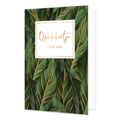 Opkikkertje voor jou