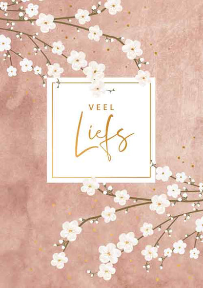 Veel liefs
