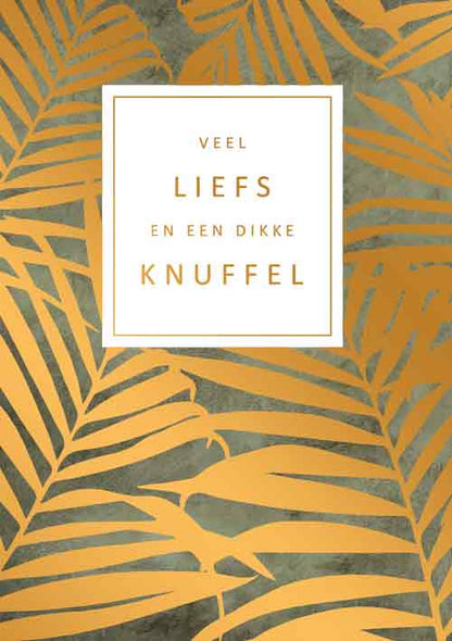 Veel liefs en een dikke knuffel