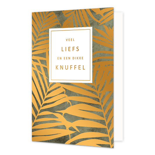 Veel liefs en een dikke knuffel