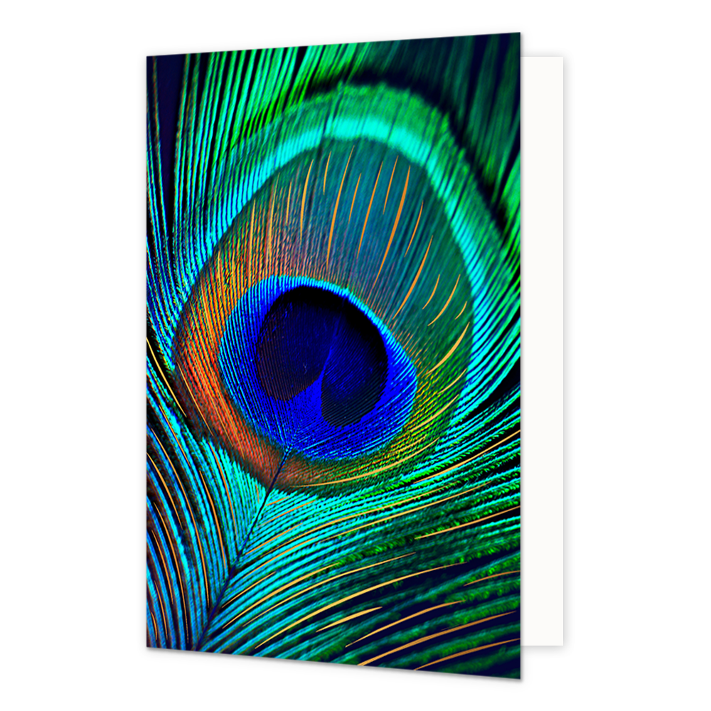Pauwenveer - Formaat: Normaal - Vorm: Staand - Blanco kaart - Op deze wenskaart is een pauwenveer te zien in de kleuren blauw, turquoise, groen en goud. - Snelwenskaart