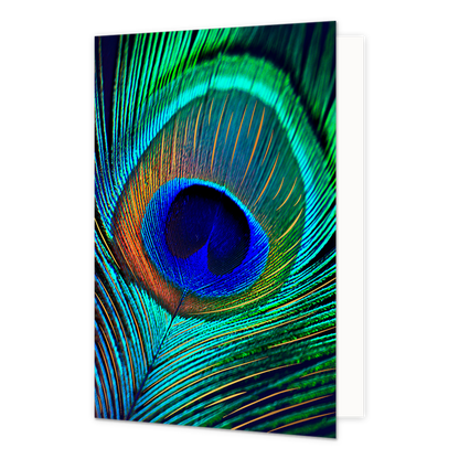 Pauwenveer - Formaat: Normaal - Vorm: Staand - Blanco kaart - Op deze wenskaart is een pauwenveer te zien in de kleuren blauw, turquoise, groen en goud. - Snelwenskaart