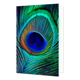 Pauwenveer - Formaat: Standaard - Vorm: Staand - Blanco kaart - Op deze wenskaart is een pauwenveer te zien in de kleuren blauw, turquoise, groen en goud. - Snelwenskaart