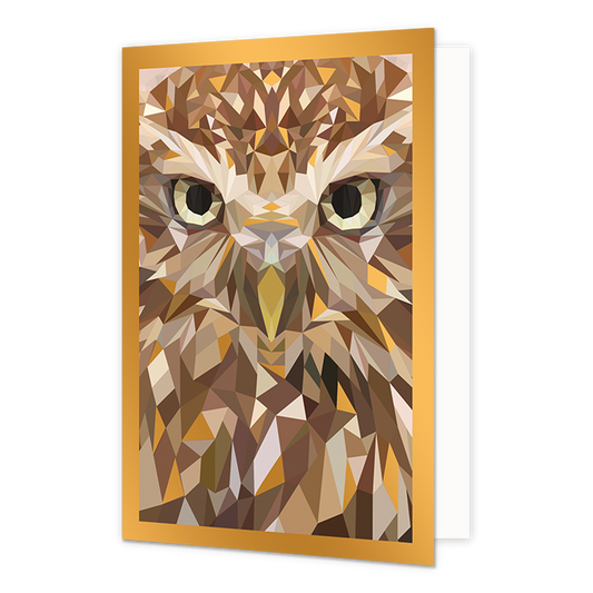Uil - Formaat: Normaal - Vorm: Staand - Blanco kaart - Op deze wenskaart is op een artistieke manier, door middel van driehoeken een uil weergegeven in de kleuren bruin, roud, beige, zwart, wit en groen. - Snelwenskaart