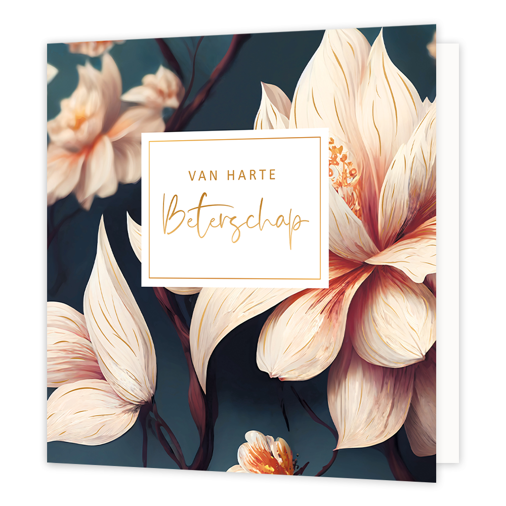 XL - Van harte beterschap - Formaat: Groot - Vorm: Vierkant - Beterschapskaart - Op deze wenskaart zijn lichtroze bloemen te zien op een donkergroen/blauwe achtergrond. In het midden zit een wit blok met de gouden tekst: "Van harte beterschap". - Snelwenskaart