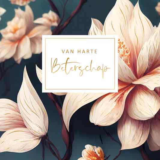 XL - Van harte beterschap