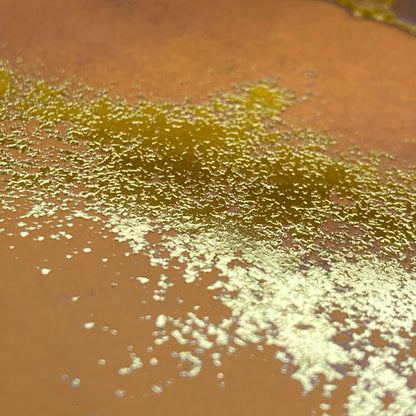 XL - Van ons allemaal