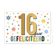 16 jaar gefeliciteerd - Formaat: Standaard - Vorm: Liggend - Felicitatiekaart - Op deze wenskaart staat de tekst: "16 jaar gefeliciteerd". - Snelwenskaart