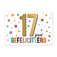 17 jaar gefeliciteerd - Formaat: Standaard - Vorm: Liggend - Felicitatiekaart - Op deze wenskaart staat de tekst: "17 jaar gefeliciteerd". - Snelwenskaart