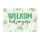 Welkom lief jongetje - Formaat: Klein - Vorm: Liggend - Geboortekaart - Op deze wenskaart staan regenbogen, hartjes en konijntjes met in het midden de tekst: "Welkom lief jongetje". - Snelwenskaart