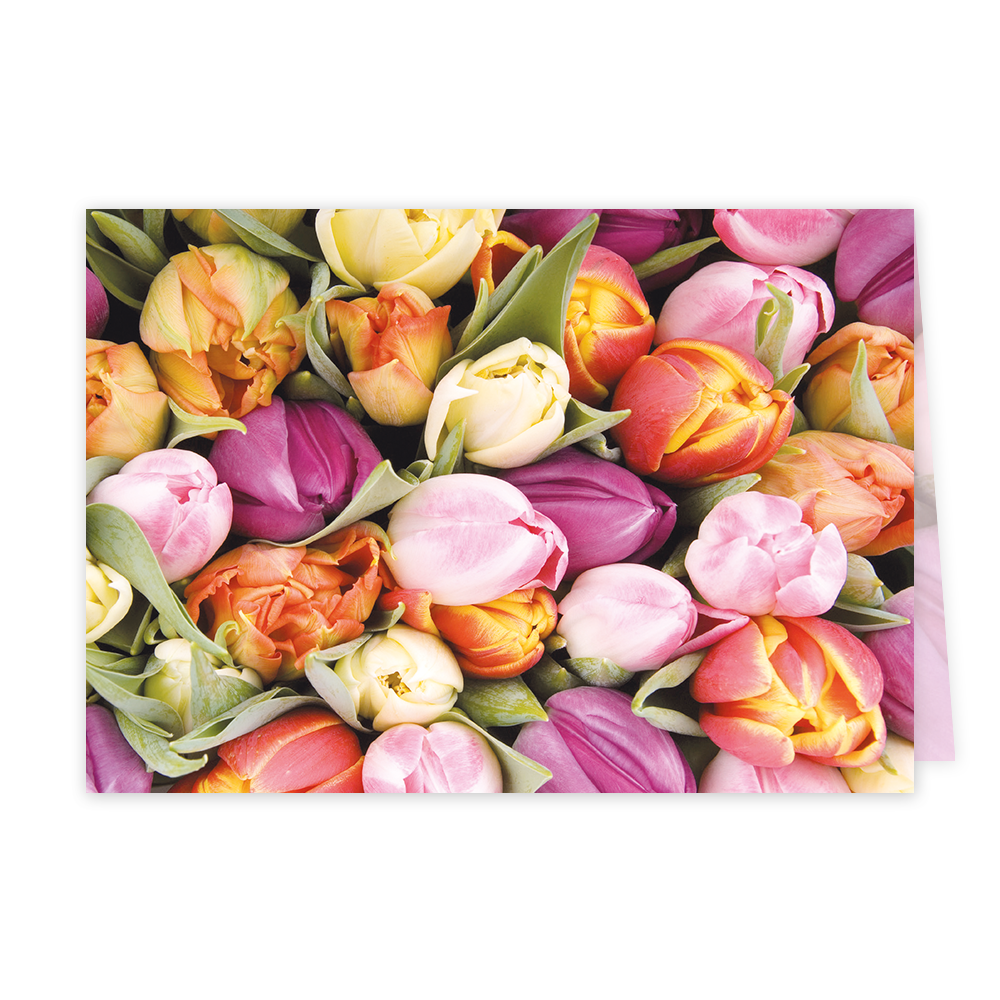 Tulpen - Formaat: Klein - Vorm: Liggend - Blanco kaart - Op deze wenskaart staan tulpen in de kleuren geel, roze, paars en oranje. - Snelwenskaart
