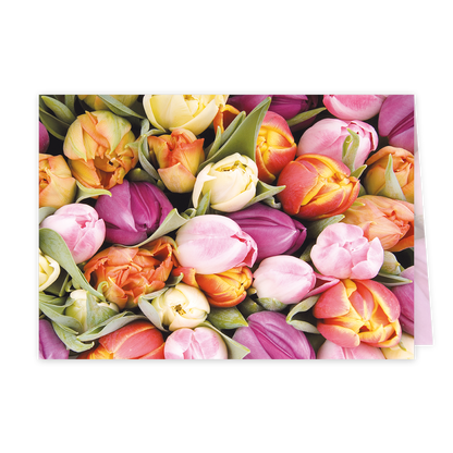 Tulpen - Formaat: Klein - Vorm: Liggend - Blanco kaart - Op deze wenskaart staan tulpen in de kleuren geel, roze, paars en oranje. - Snelwenskaart