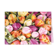 Tulpen - Formaat: Klein - Vorm: Liggend - Blanco kaart - Op deze wenskaart staan tulpen in de kleuren geel, roze, paars en oranje. - Snelwenskaart