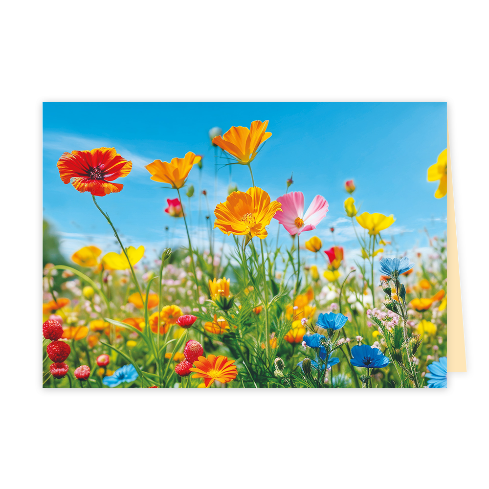 Bloemen - Formaat: Klein - Vorm: Liggend - Blanco kaart - Op deze wenskaart is een kleurrijke bloemenweide te zien onder een helderblauwe lucht. De compositie toont diverse bloemen in felle kleuren zoals oranje, geel, roze en blauw, die vanuit een laag standpunt zijn gefotografeerd. Op de voorgrond zijn ook kleine, rode vruchten zichtbaar die tussen het groen uitsteken. Er is geen tekst op de illustratie aanwezig. - Snelwenskaart