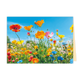 Bloemen - Formaat: Klein - Vorm: Liggend - Blanco kaart - Op deze wenskaart is een kleurrijke bloemenweide te zien onder een helderblauwe lucht. De compositie toont diverse bloemen in felle kleuren zoals oranje, geel, roze en blauw, die vanuit een laag standpunt zijn gefotografeerd. Op de voorgrond zijn ook kleine, rode vruchten zichtbaar die tussen het groen uitsteken. Er is geen tekst op de illustratie aanwezig. - Snelwenskaart