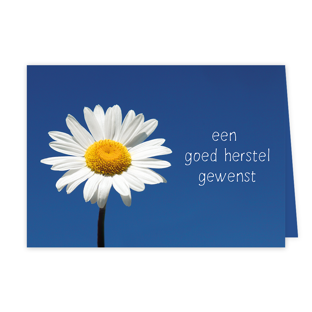 Een goed herstel gewenst - Formaat: Klein - Vorm: Liggend - Beterschapskaart - Op deze wenskaart is een witte bloem te zien op een blauwe achtergrond. Rechts naast de bloem staat de tekst: "Een goed herstel gewenst". - Snelwenskaart