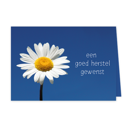 Een goed herstel gewenst - Formaat: Klein - Vorm: Liggend - Beterschapskaart - Op deze wenskaart is een witte bloem te zien op een blauwe achtergrond. Rechts naast de bloem staat de tekst: "Een goed herstel gewenst". - Snelwenskaart