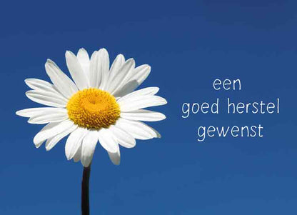 Een goed herstel gewenst
