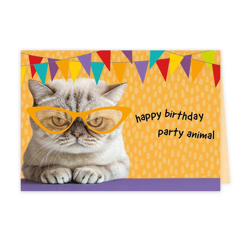 Op deze wenskaart staat een kat met slingers met daarbij de tekst: "Happy  birthday party animal". 