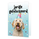 Jarige gefeliciteerd - Formaat: Klein - Vorm: Staand - Verjaardagskaart - Op deze wenskaart staat een hond met een feesthoedje op en daarboven de tekst: "Jarige gefeliciteerd". - Snelwenskaart